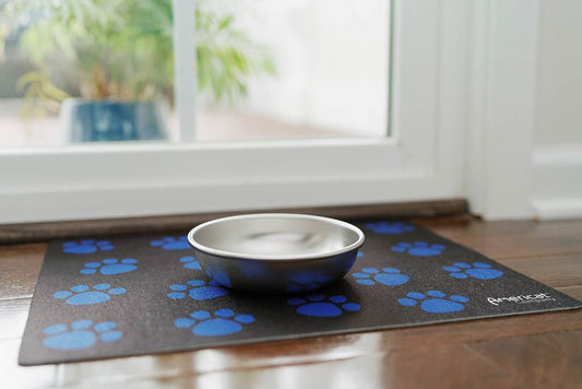 Best Water Bowl for Cats