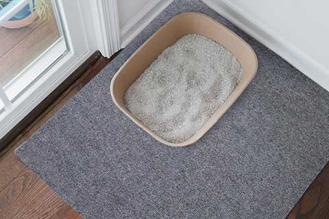 Best cat litter mat