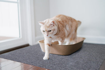 Cat litter mat