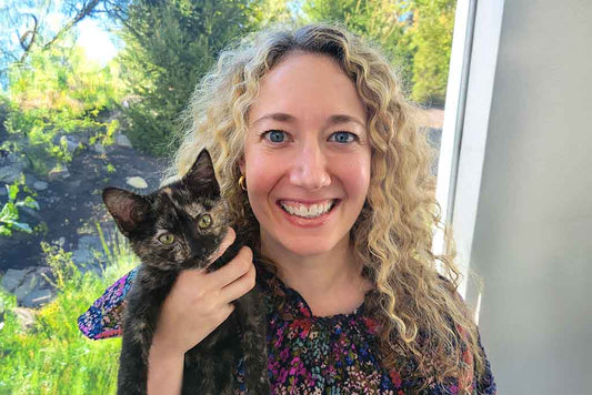 How to Know When to Adopt a New Cat...