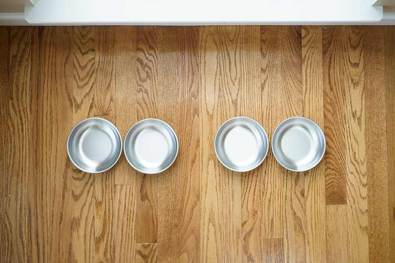 Stainless Steel Cat Bowls