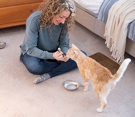 Cat products made in the USA