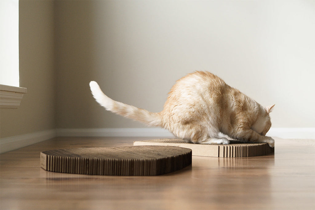 Cat Scratcher – Corner - Americat Company