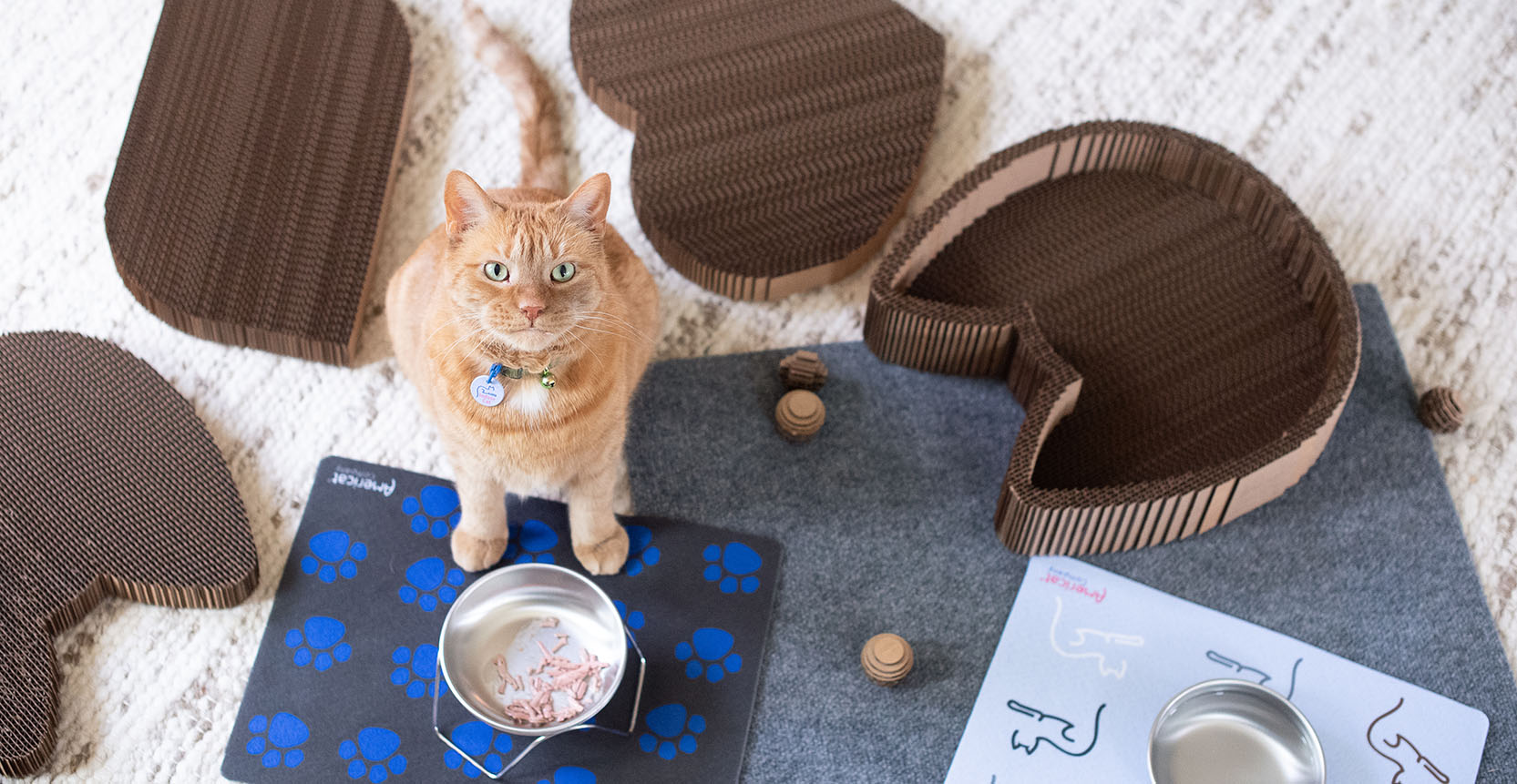 Cat products made in the USA