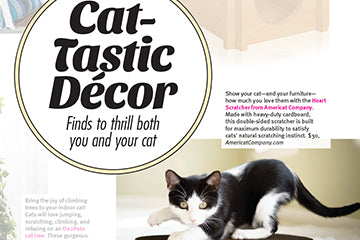 Cat-Tastic Decor article by Modern Cat Magazinet Magazine featuring Americat Company