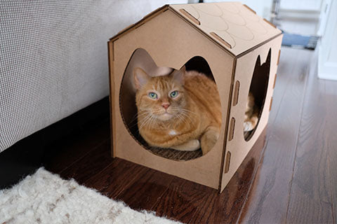 Why Cats Love a Cardboard Cat House with Scratcher