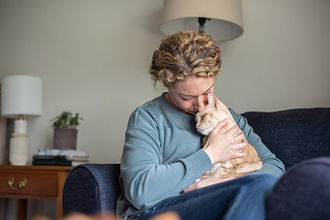 What to Feed a Sick Cat That Won't Eat