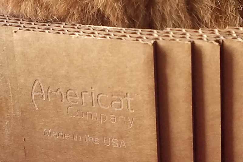 Made in USA cat scratcher bed