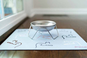 Cat food bowl stand on placemat