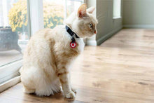 Load image into Gallery viewer, Cat wearing medical alert identification tag
