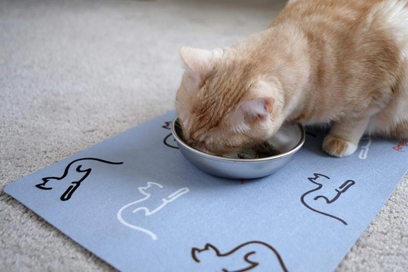cat placemat that is waterproof, machine washable and made in USA