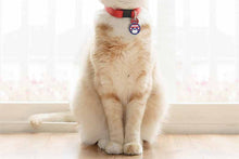 Load image into Gallery viewer, Cat wearing cat identification tag
