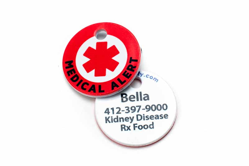 Cat medical alert identification tag front and back