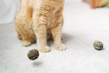 Load image into Gallery viewer, Cat playing with made in USA toys
