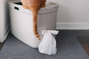  Biodegradable cat poop bags