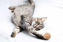 Load image into Gallery viewer, Cat reaching for made in USA ball toy

