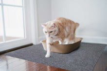Load image into Gallery viewer, Cat Litter Mat
