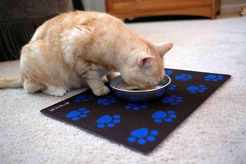 Cat eating on waterproof, machine washable cat feeding mat with paw prints