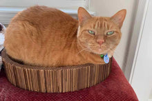Load image into Gallery viewer, Scratcher bed with cat inside

