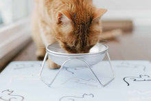 Load image into Gallery viewer, Cat eating from elevated cat bowl stand
